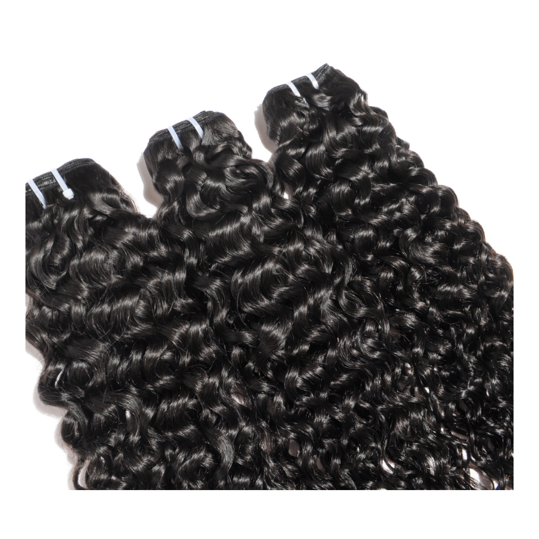 Burmese Virgin Curly